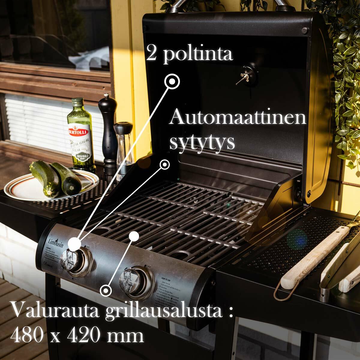 Limousin Gasgrill Classic 2
