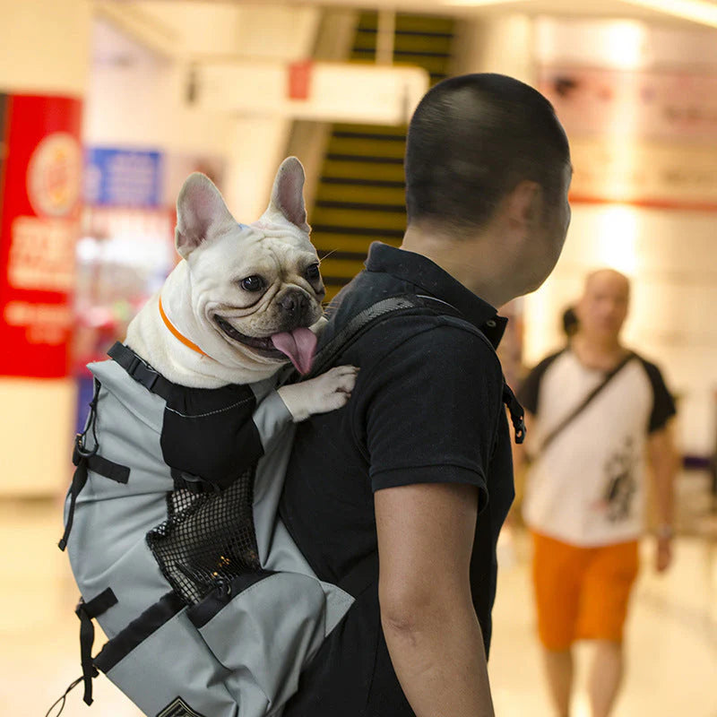 Zaino multifunzionale per cani di taglia media – Comodo e Robusto