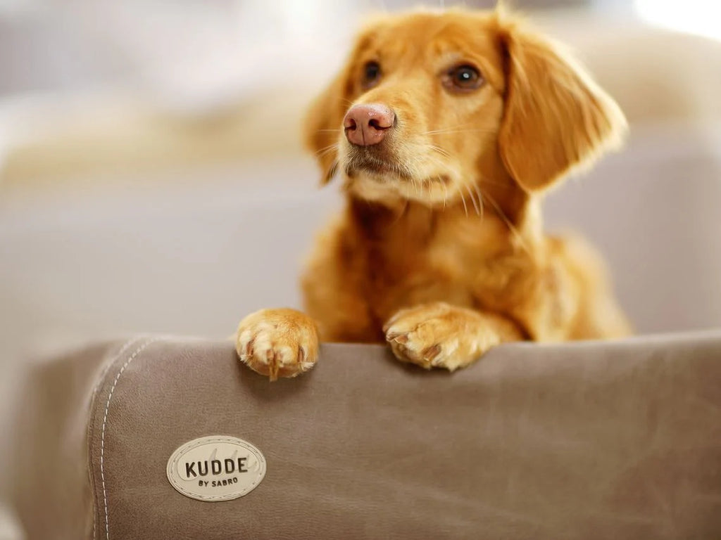 Hundebett KUDDE Wildlederoptik