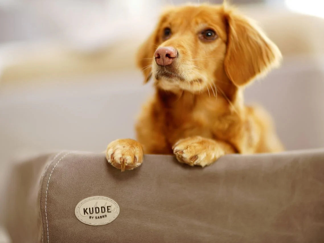 Hundebett KUDDE Wildlederoptik