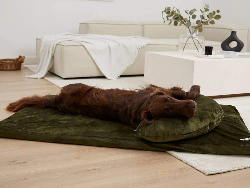 Tappetino per cani Jokkmokk Mynki