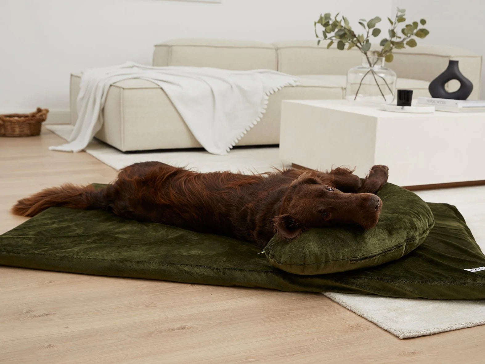 Tappetino per cani Jokkmokk Mynki