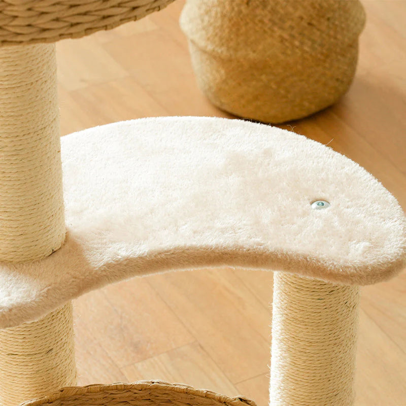 Comodo tiragraffi con cuccia, il rifugio perfetto per il tuo gatto