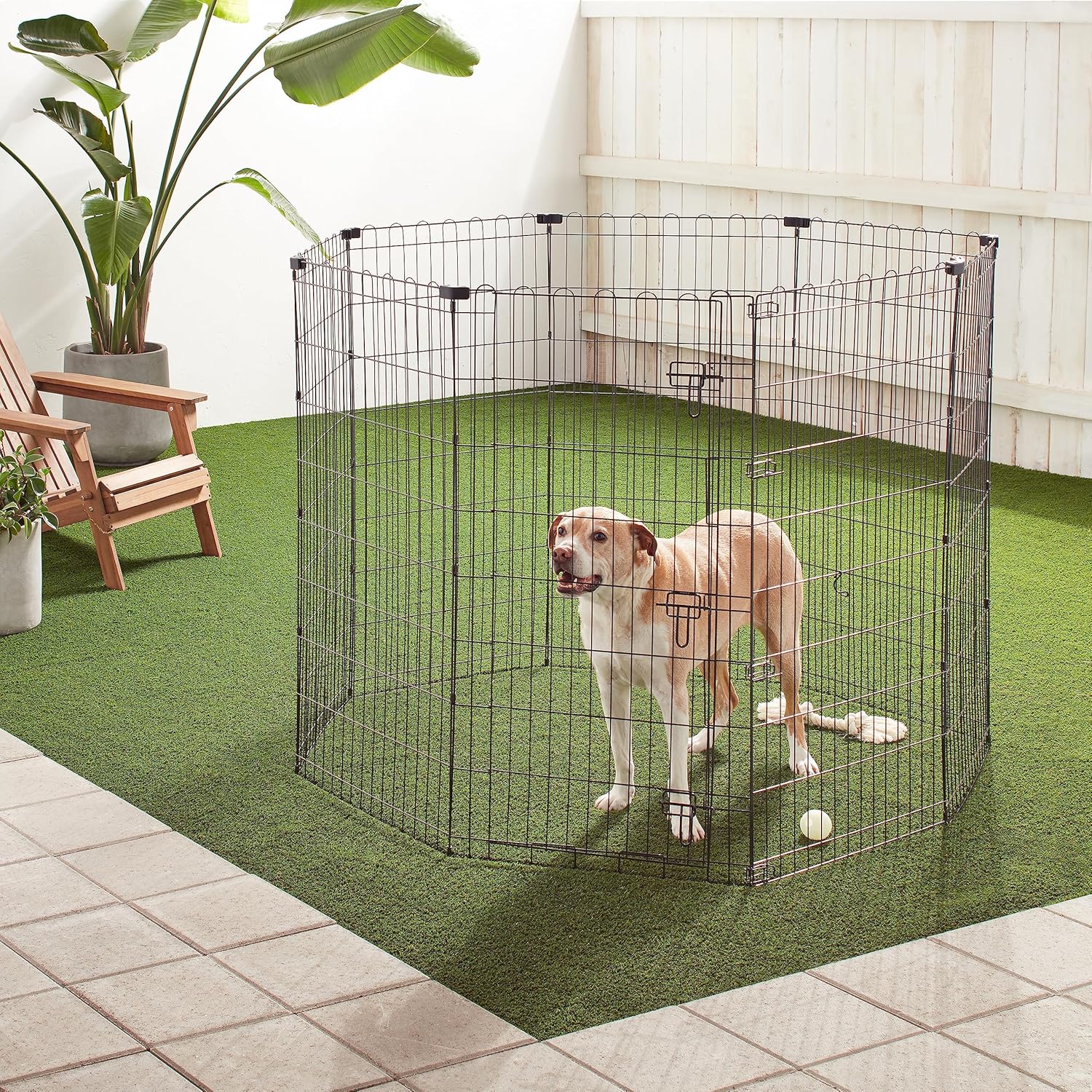 Amazon Basics - Achteckig, Laufgehege für Hunde und andere Haustiere, faltbar, Metall, mit Tür,122 cm, Schwarz
