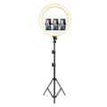 Snapsy Ringlicht 18 (210cm)