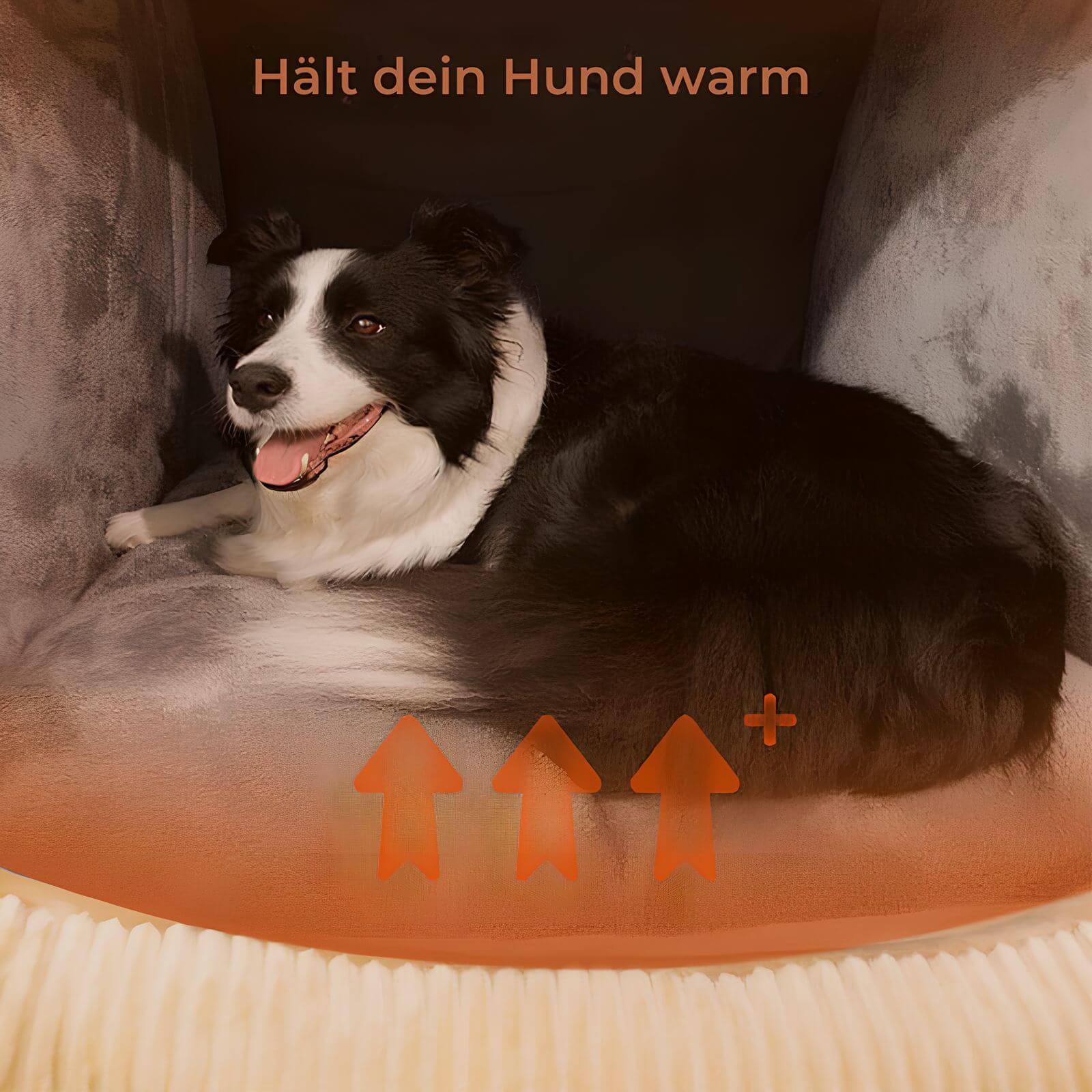 CozyNest – Abnehmbares Hundebett Zelt für Geborgenheit und Komfort