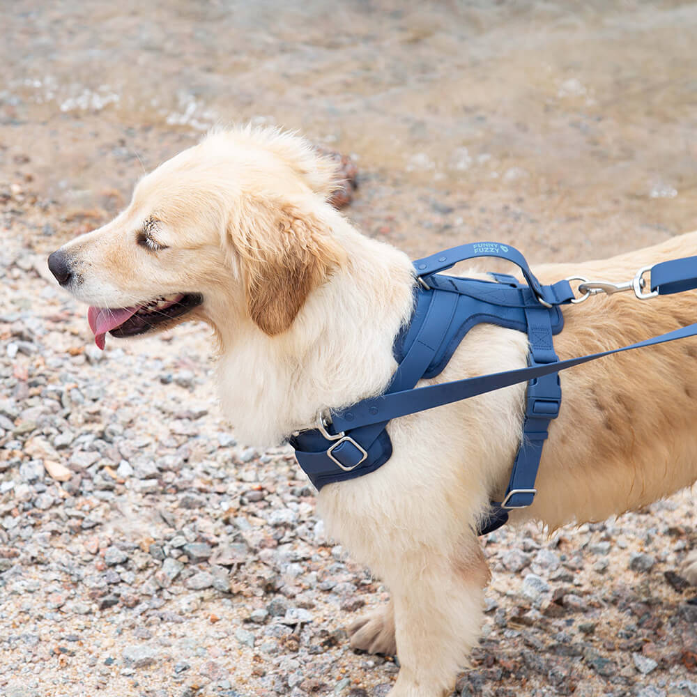 FlexiFit - Verstellbares Gummiband-Hundegeschirr für maximalen Komfort