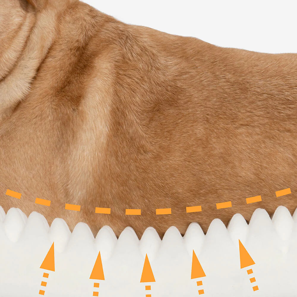 Donut Kuscheliges Orthopdisches Hundebett