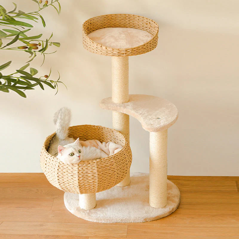 Comodo tiragraffi con cuccia, il rifugio perfetto per il tuo gatto