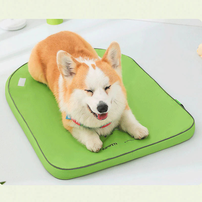 Kühlmatte für Haustiere – Sommerliche Erfrischung für Hunde & Katzen