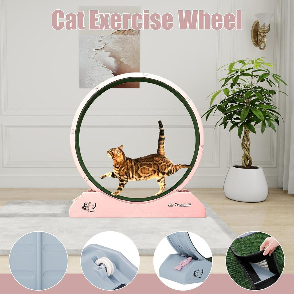 Eventerde Ruota per esercizi per gatti - Ruota per gatti | Attrezzatura da fitness per gattini | Ruota da corsa con teaser per gatti da interni per la perdita di peso, Tapis roulant per gattini a basso rumore