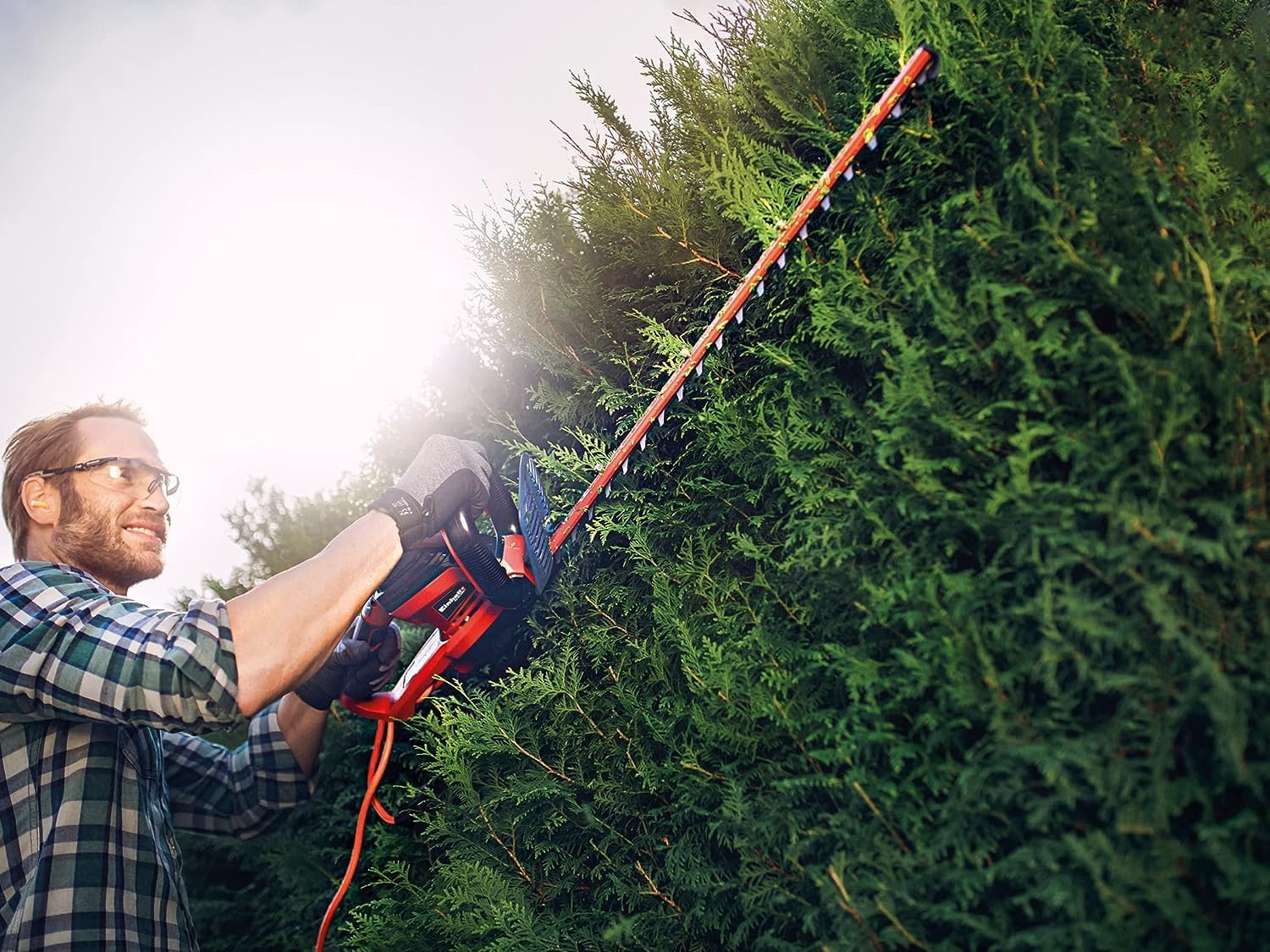 Einhell Tagliasiepi Elettrico GC-EH 6055/1 (600 W, 2.800 tagli/min, raccoglierami, fermacavo, impugnatura supplementare, Softgrip, interruttore di sicurezza a due mani)