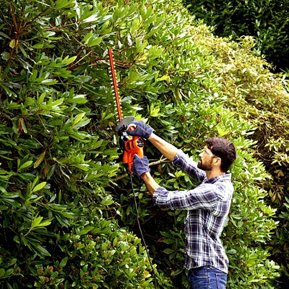 Black+Decker Tagliasiepi Elettrico BEHT201 (420W, lama 45 cm, taglio 16 mm, impugnatura a T e protezione trasparente, per piccole siepi)