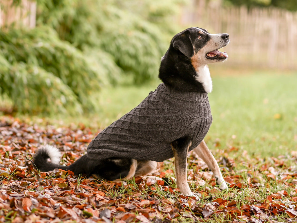 Pullover für Hunde: Himalaya