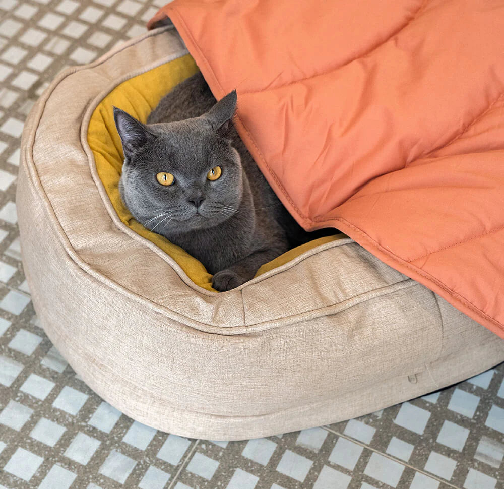 Donut Kuscheliges Orthopdisches Hundebett