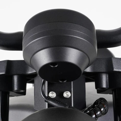 LCD-Display für Citycoco MangoSteen M1P Elektro Chopper Roller