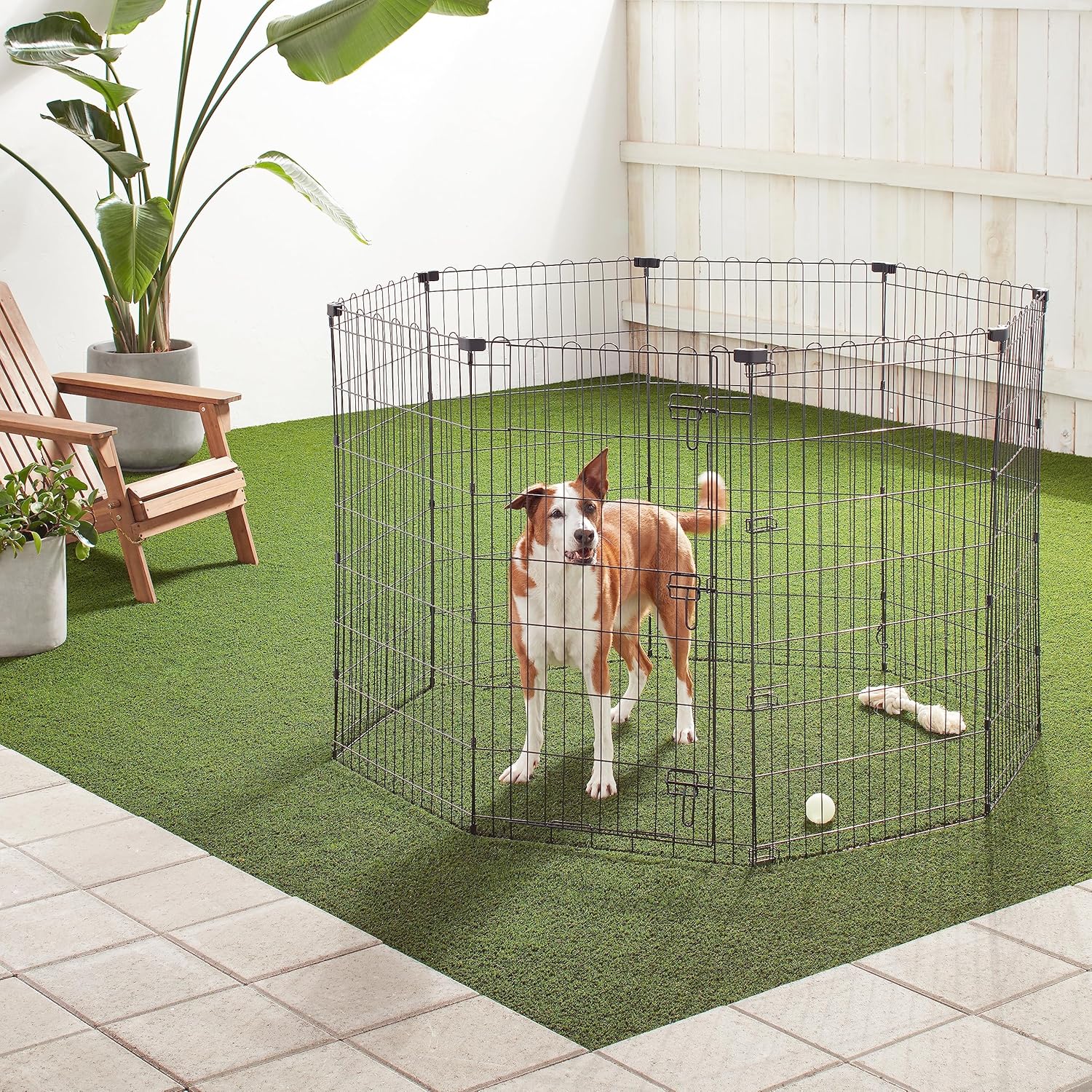 Amazon Basics - Achteckig, Laufgehege für Hunde und andere Haustiere, faltbar, Metall, mit Tür,122 cm, Schwarz