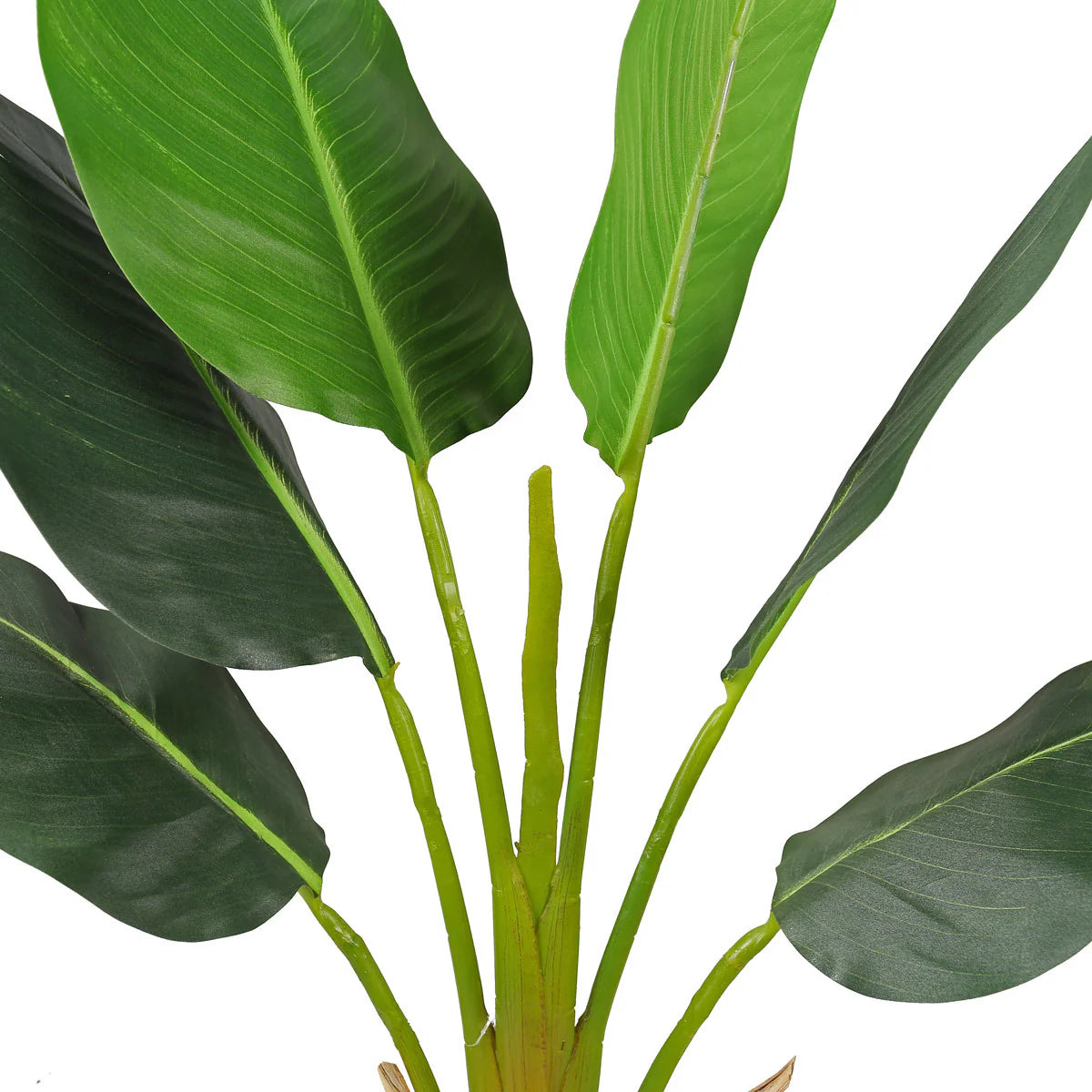 Lykke Pianta artificiale Strelitzia 90cm