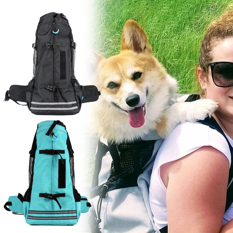 Zaino per cani grande e traspirante – comfort e sicurezza per i viaggi