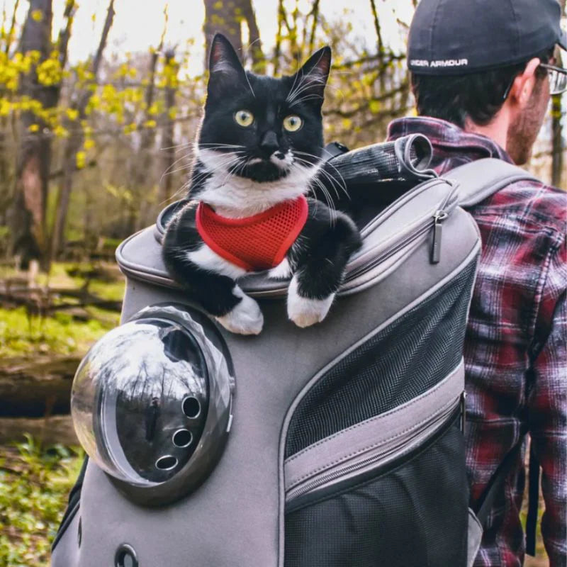 HundeJoy Katzen-Transporttasche – Sicherer Begleiter für jedes Abenteuer