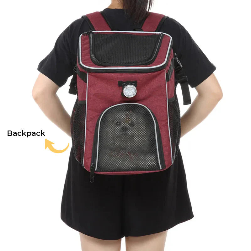 PetVentura – Fahrradtrger Rucksack für Haustiere: Sicher und Komfortabel unterwegs