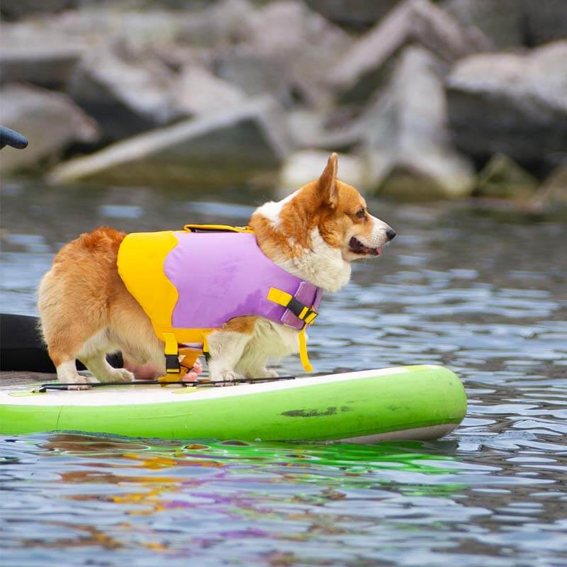 Verstellbare Schwimmweste für Hunde – Sicher und Bequem im Wasser