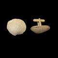 Gemelli a conchiglia