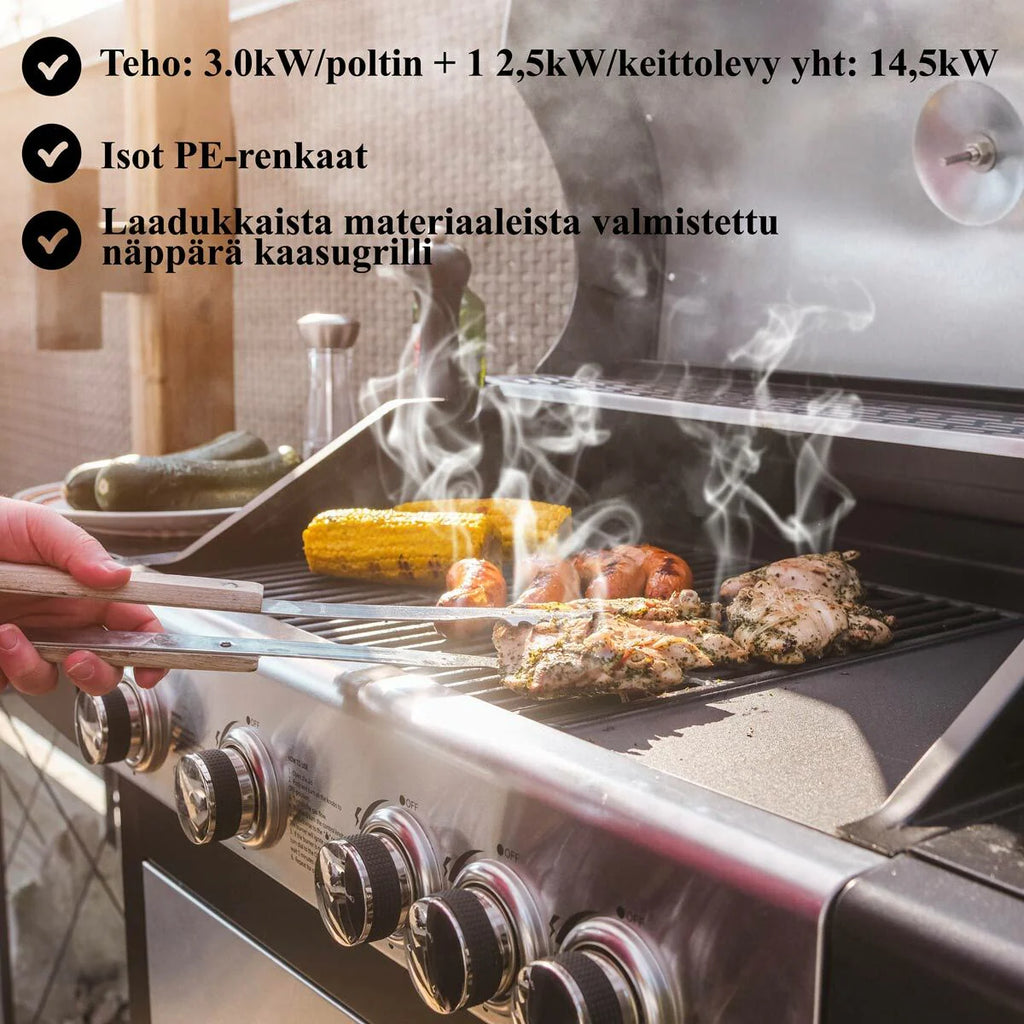 Limousin Barbecue a gas Royal 4+1 Inox