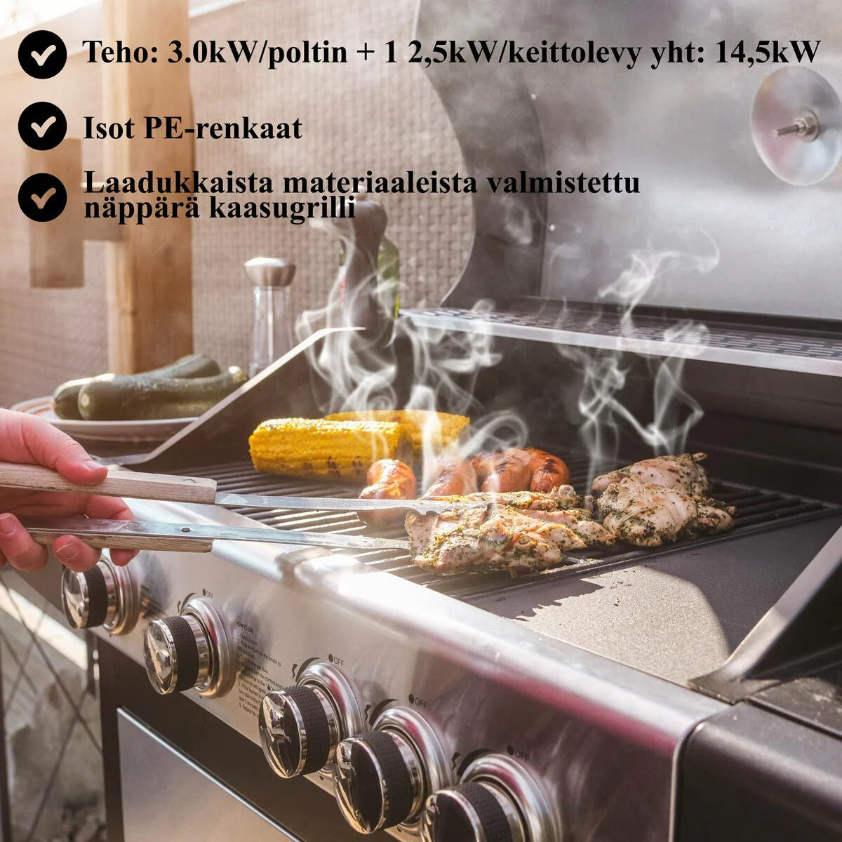 Limousin Barbecue a gas Royal 4+1 Inox