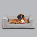 Dreamer Plus Hundebett