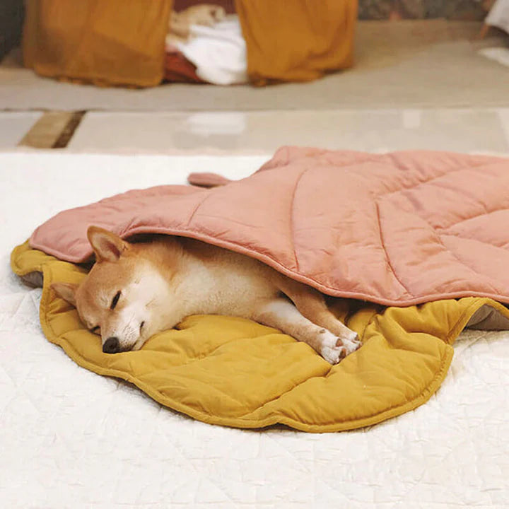 Pip | Coperta soffice per cani