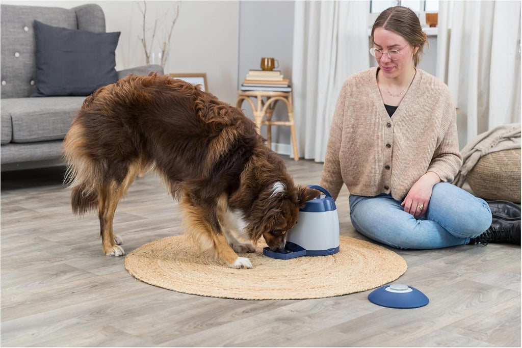 TRIXIE Hundespielzeug Intelligenz Dog Activity Strategie-Spiel Memory Trainer 3.0 – Anspruchsvolles Intelligenzspielzeug für Hunde zur Beschftigung 20x24cm, tierschutzkonform - 32040