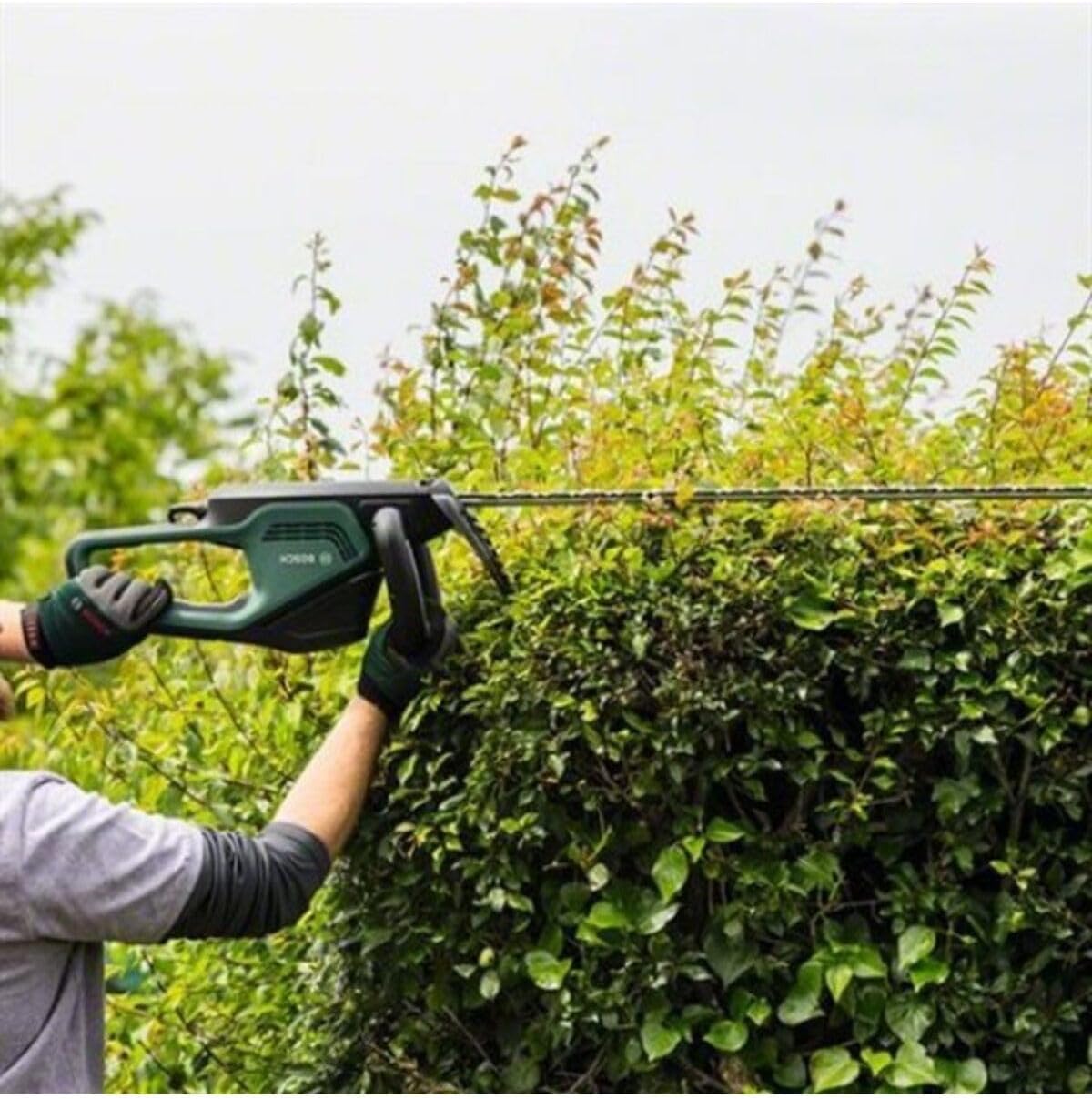 Bosch Heckenschere UniversalHedgeCut 60 (480 Watt, Messerlänge: 60 cm, für mittelgroße Hecken, Messerabstand: 30 mm, im Karton)