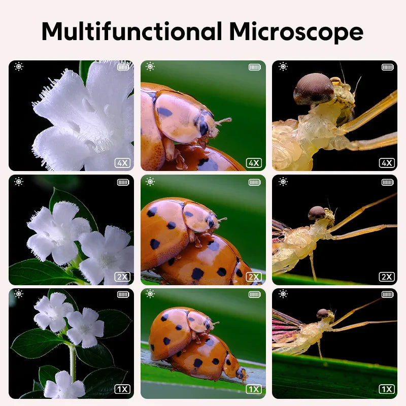 Mini Kids Microscope - Scienza sotto la lente - Microscopio
