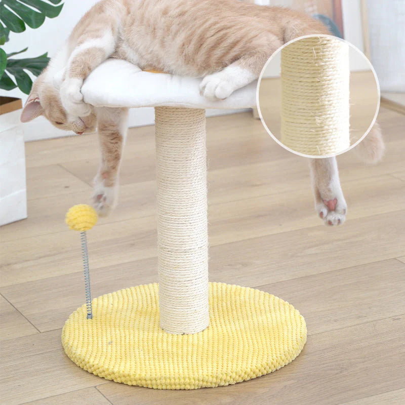 Ei Serie Katzenspiel- und Ruheplatz – Die perfekte Kombination für Ihre Katze
