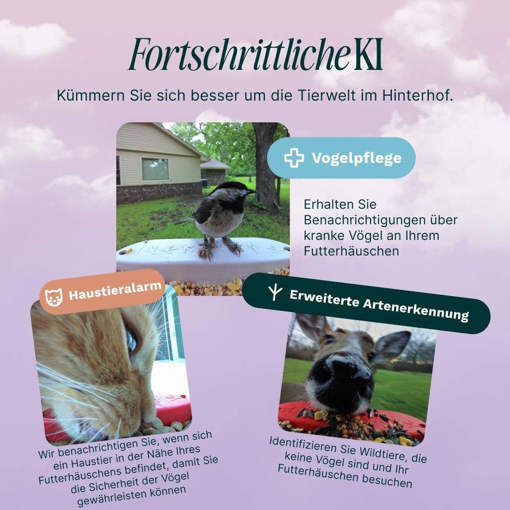 Bird Buddy Pro Solar Smart Vogelfutterstation mit Kamera – AI-Vogelarten-Identifikation, 5-MP-Fotos, 2K-Ultra-Video-Live-Stream-Kamera, Zeitlupenvideo, 6,6 cm Fokus – Blue Solar