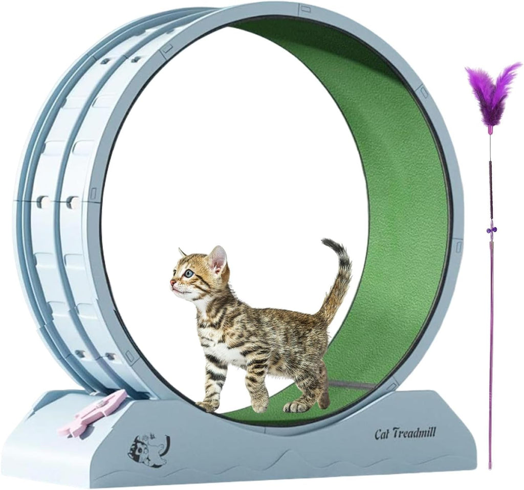 Eventerde Ruota per esercizi per gatti - Ruota per gatti | Attrezzatura da fitness per gattini | Ruota da corsa con teaser per gatti da interni per la perdita di peso, Tapis roulant per gattini a basso rumore