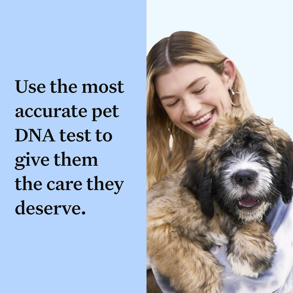 Wisdom Panel zur Feststellung von Hunderassen DNA-Test-Kit – przise Rassen-ID MDR1 Abstammung Verwandte