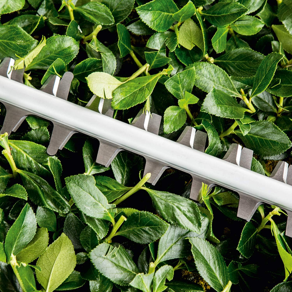 Bosch Tagliasiepi Elettrico EasyHedgeCut 45 (420 W, lunghezza lama 45 cm, in scatola di cartone)