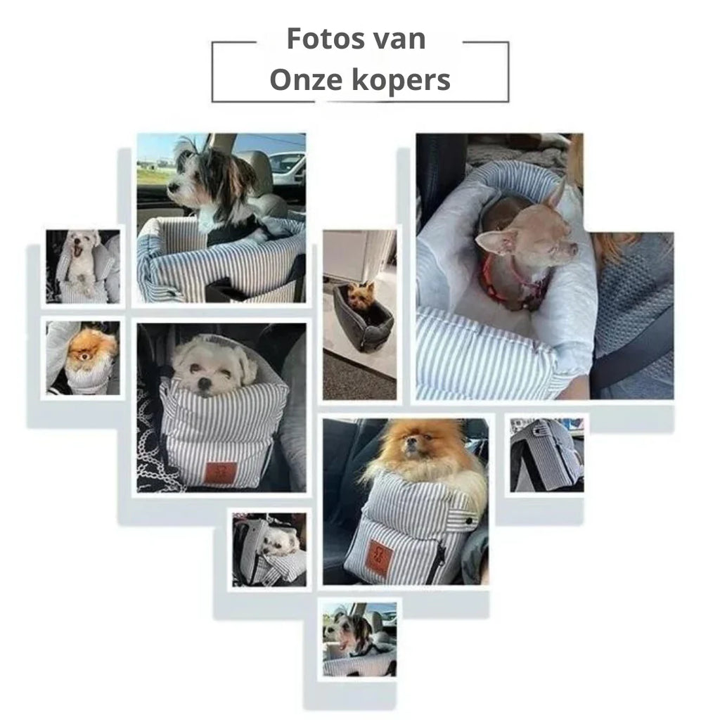 Lotte | Sicheres Hunde-Autositzkissen - Komfort und Sicherheit für unterwegs