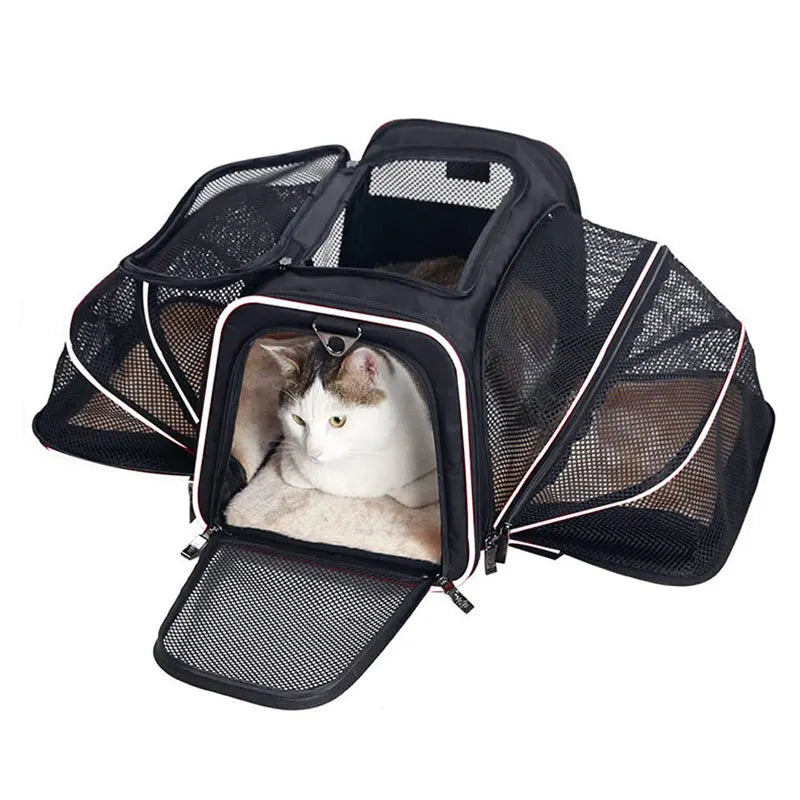 Erweiterbarer Haustier-Trage-Rucksack