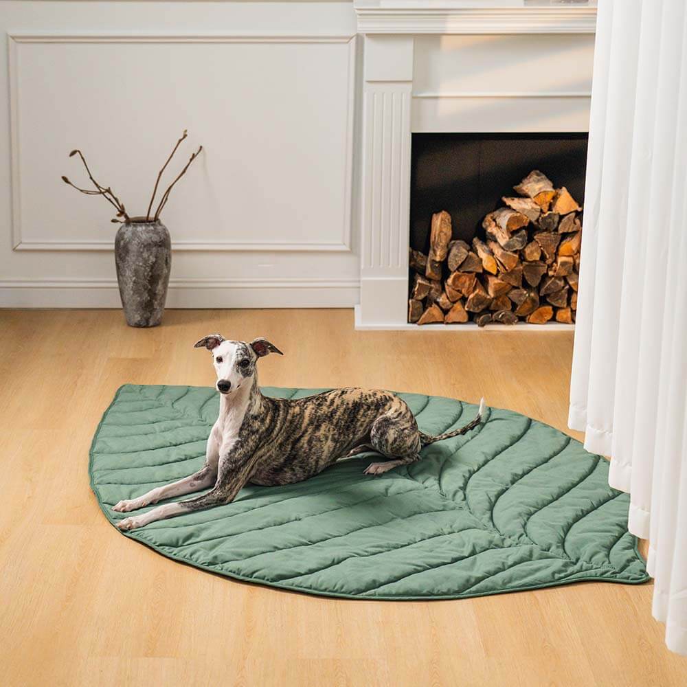 Coperta per cani a forma di foglia per persone - Tappetino comfort extra large