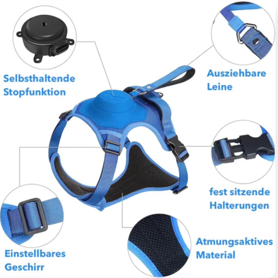 Imbracatura per cani con guinzaglio integrato: comfort e controllo in un'unica soluzione
