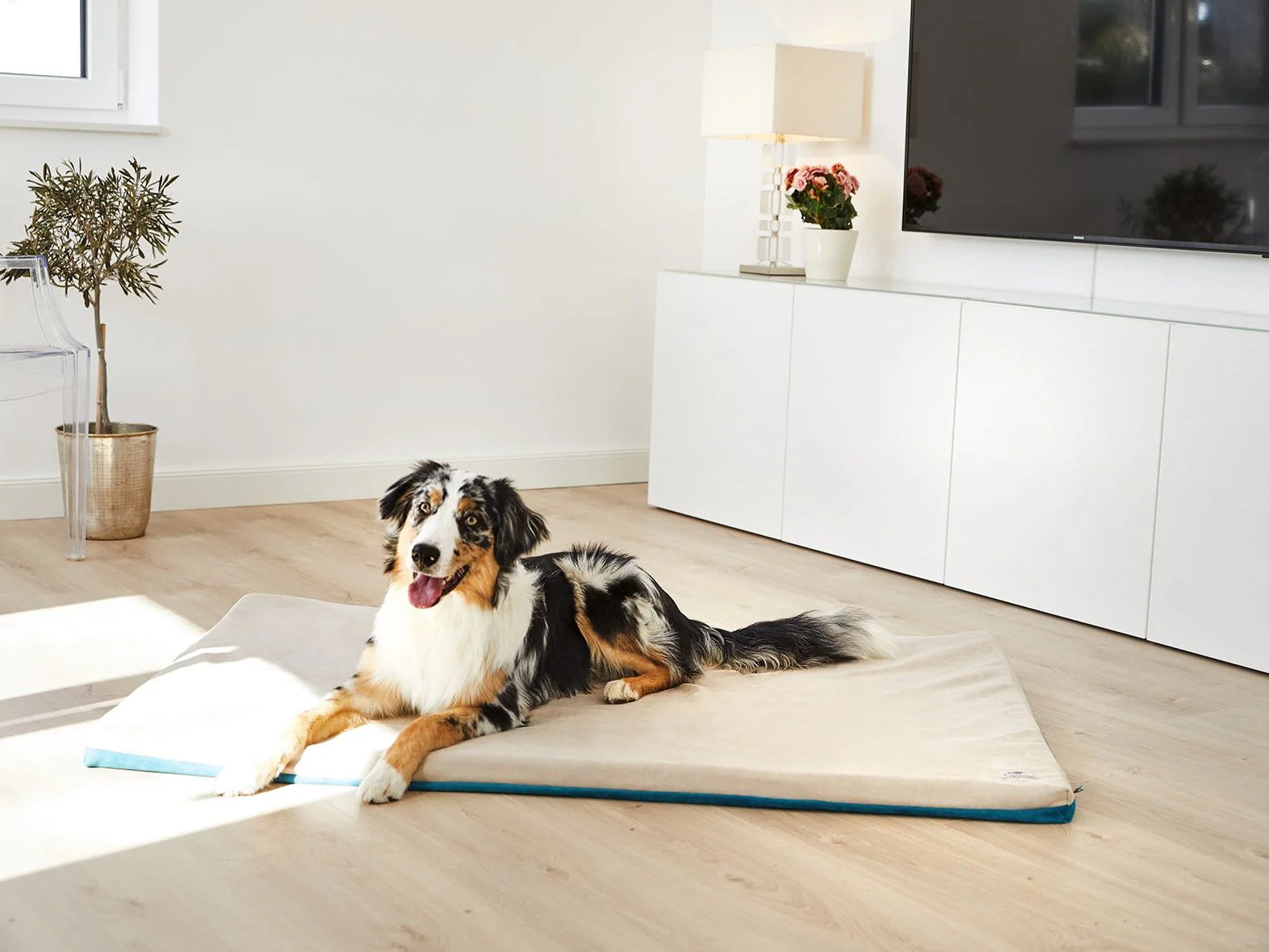 Tappeto per cani Jokkmokk Alltid