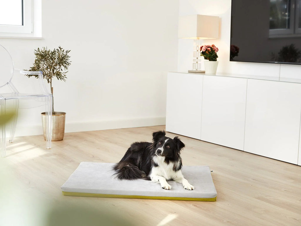 Tappeto per cani Jokkmokk Alltid