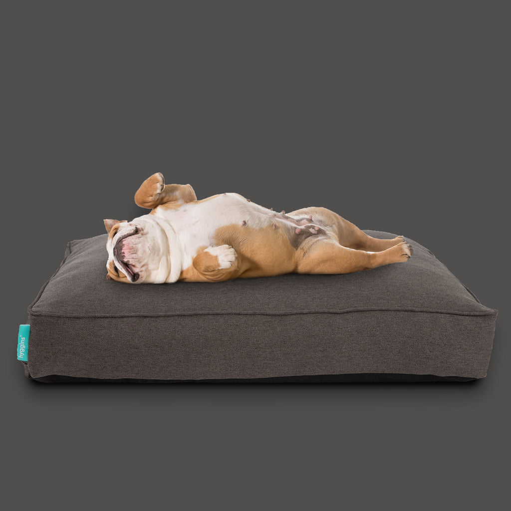 Lounger Plus Hundekissen