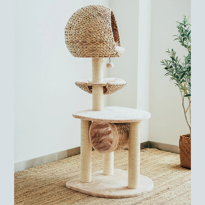 Vogelnest-Kratzbaum für Katzen – Der perfekte Ruhe- und Spielplatz für Ihre Katze