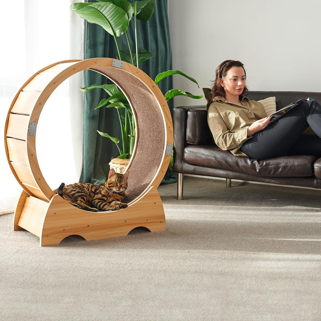Ruota per gatti grande | Ruota per gatti | Tapis roulant per gatti | Ruota grande per gatti da interno | Giocattolo per l'attività del gatto | Ruota per gatti da interno | Ruota per gatti