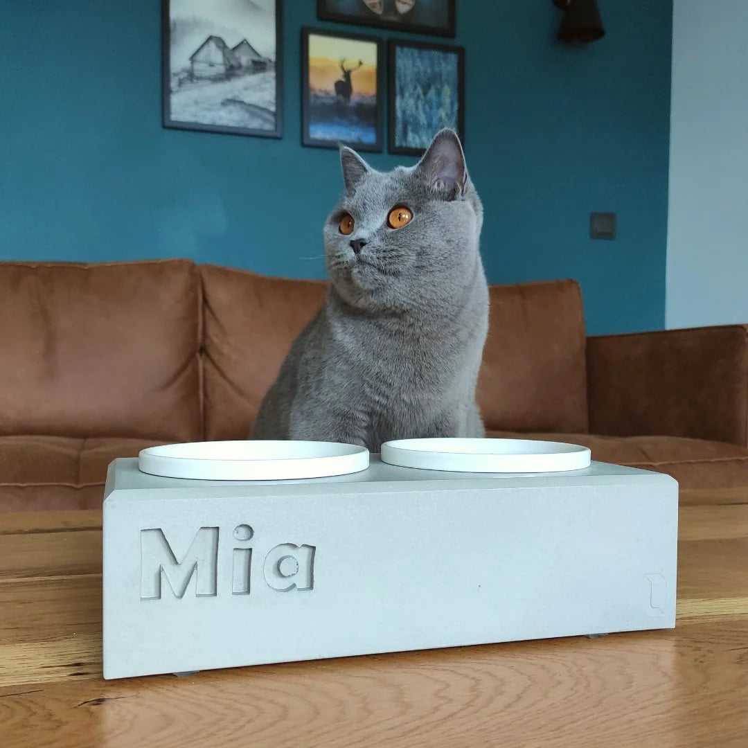 Mangiatoia per Gatti PATERA DUO Personalizzata