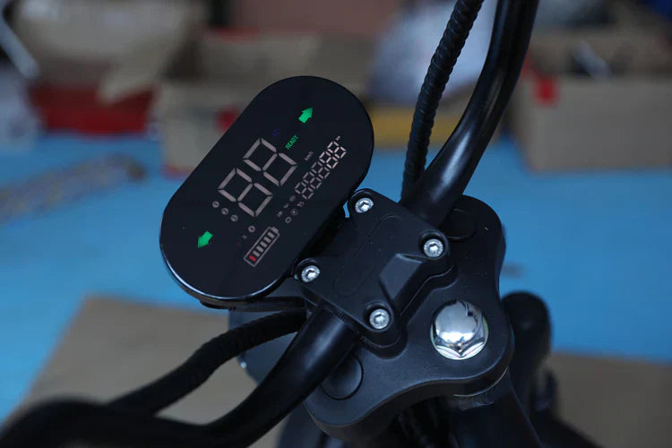 Mangosteen M8 Chopper Style Citycoco Scooter in Rubin Grün – 2000W Motor, 45 km/h Hchstgeschwindigkeit